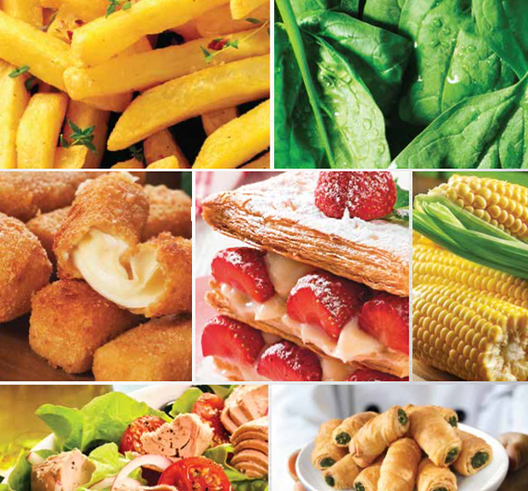 Profesyonel Soğuk Zincir Lojistik Yönetimi